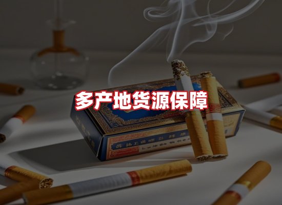 专业团队